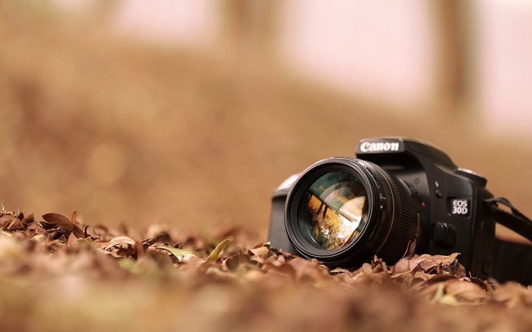 Intermediate Photography Contest 2015