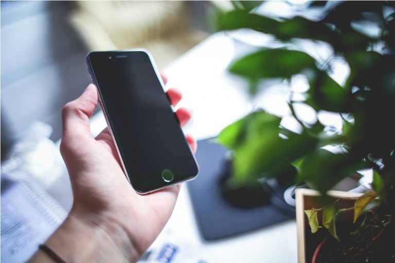 iPhone 6 Space Gray in Green Leaves