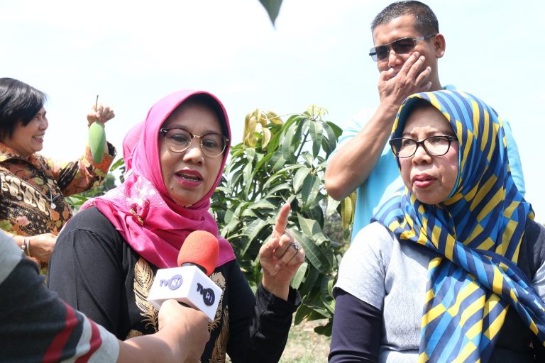 Ditjen Pembelajaran dan Kemahasiswaan Luncurkan Program Baru untuk Citarum Harum
