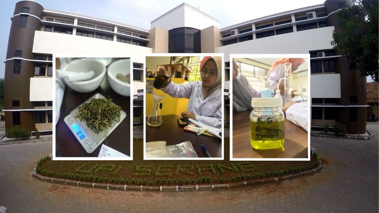 HAND SANITIZER DAN SABUN BERBAHAN DASAR MANGROVE BUATAN MAHASISWA PENDIDIKAN KELAUTAN DAN PERIKANAN UPI