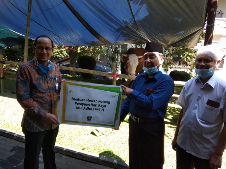 UPI Terima Hewan Qurban dari Bank BNI