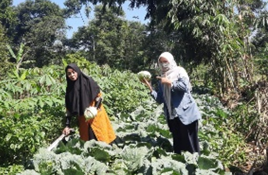 KKN Tematik UPI 2021: Aktivitas Berkebun Alternatif Pembelajaran bagi Siswa Berkebutuhan Khusus di Tengah Pandemi Covid-19