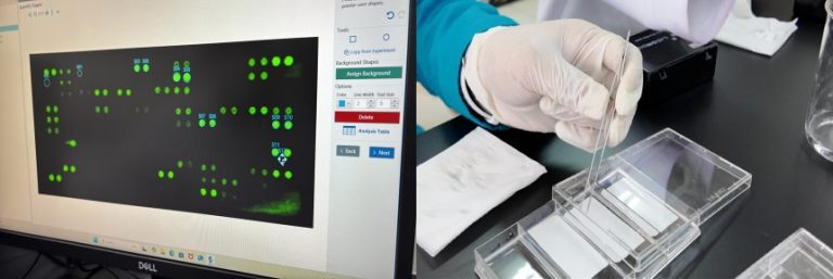 Laboratorium Biomolekuler FK UPI Mampu Deteksi 111 Sitokin dalam Satu Sampel: Dorong Inovasi Riset Protein Berbasis SDGs