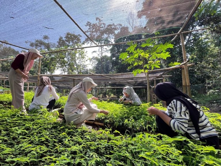 Mahasiswa UPI di Sumedang Galang Ketahanan Pangan lewat Kebun Bibit Rakyat