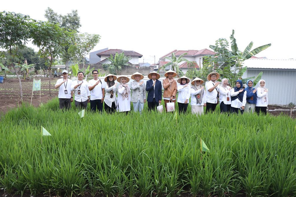 UPI Kembangkan Riset Kolaborasi Budidaya Tanaman Bersama Earth Japan Farm untuk Uji Pupuk di Iklim Indonesia