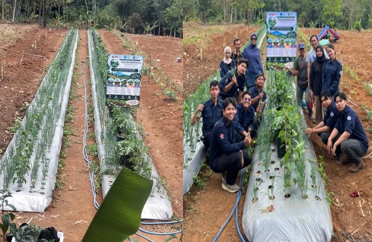 Tim Riset Kolaborasi, Rekayasa Irigasi serta Biopori Organik Atasi Krisis Air di Subang