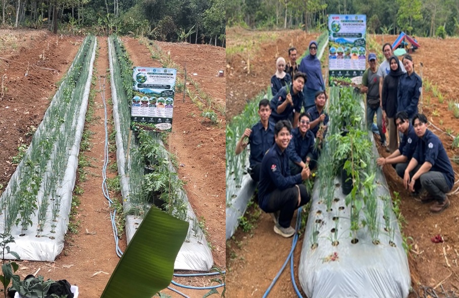 Tim Riset Kolaborasi, Rekayasa Irigasi serta Biopori Organik Atasi Krisis Air di Subang